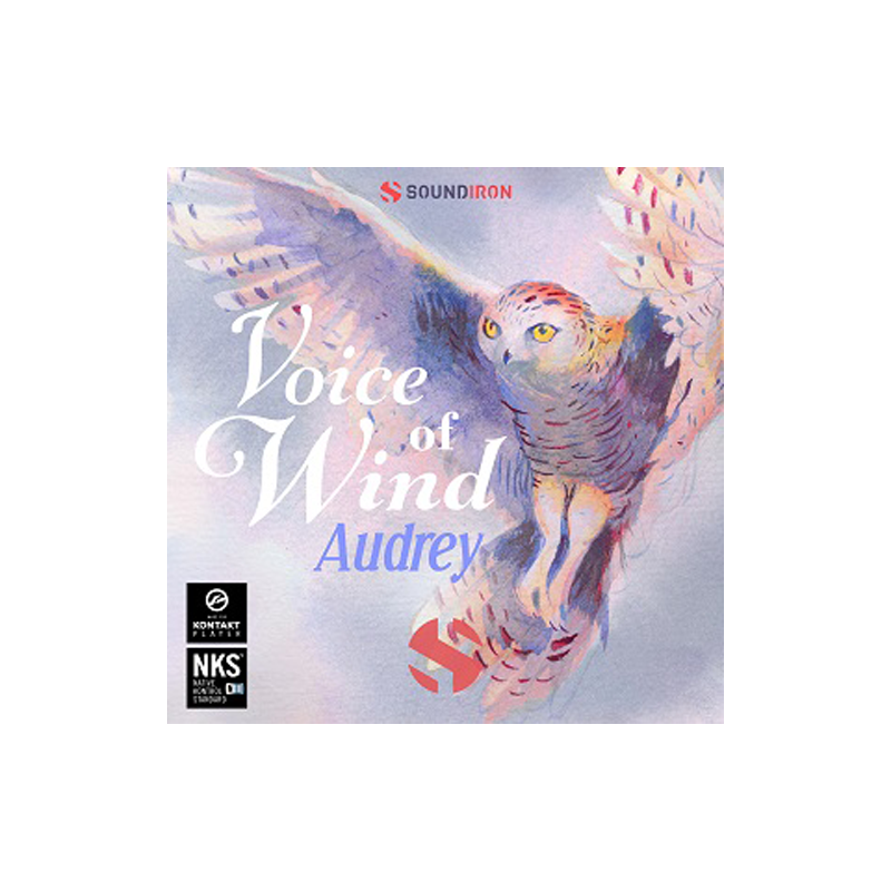 SOUNDIRON / VOICE OF WIND: AUDREY【★Audrey Howittによる透明度の高い神秘的なソロボーカル音源！★】