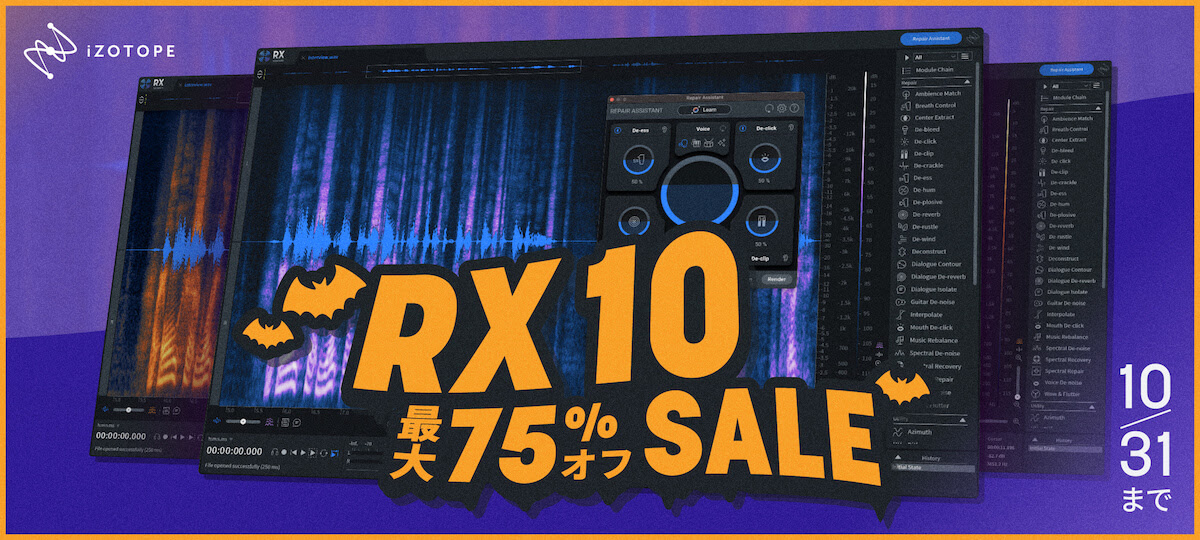 iZotope / RX 10 Standard Crossgrade from Any Standard Product/ and