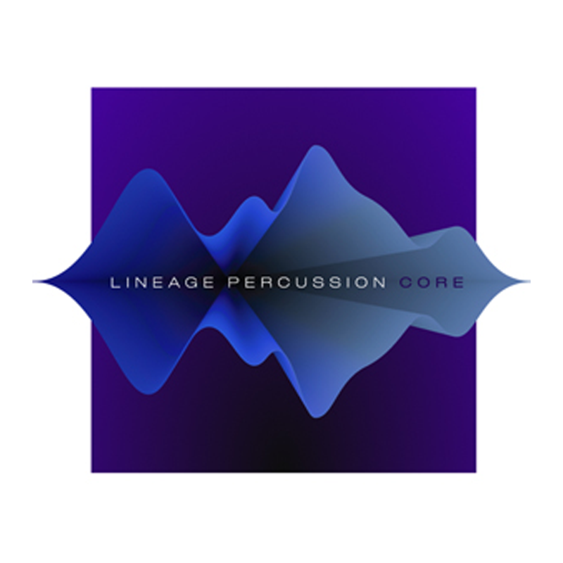 PROJECT SAM / LINEAGE PERCUSSION CORE【★扱いやすさ抜群のオーケストラ・パーカッションを45種類収録！★】