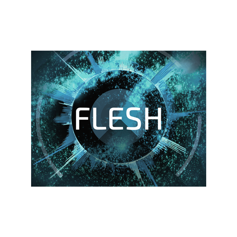 Native Instruments / FLESH