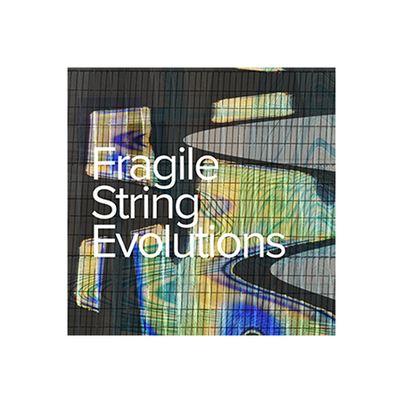 SPITFIRE AUDIO / FRAGILE STRING EVOLUTIONS【★静寂な雰囲気を創る、ストリングス・テクスチャー音源！★】