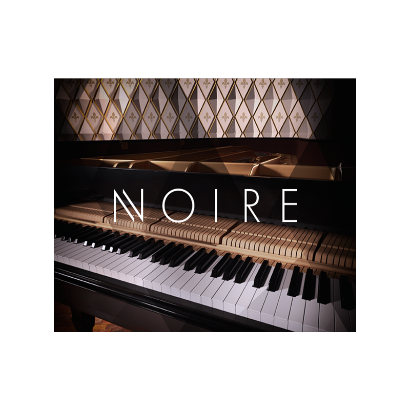 Native Instruments / Noire