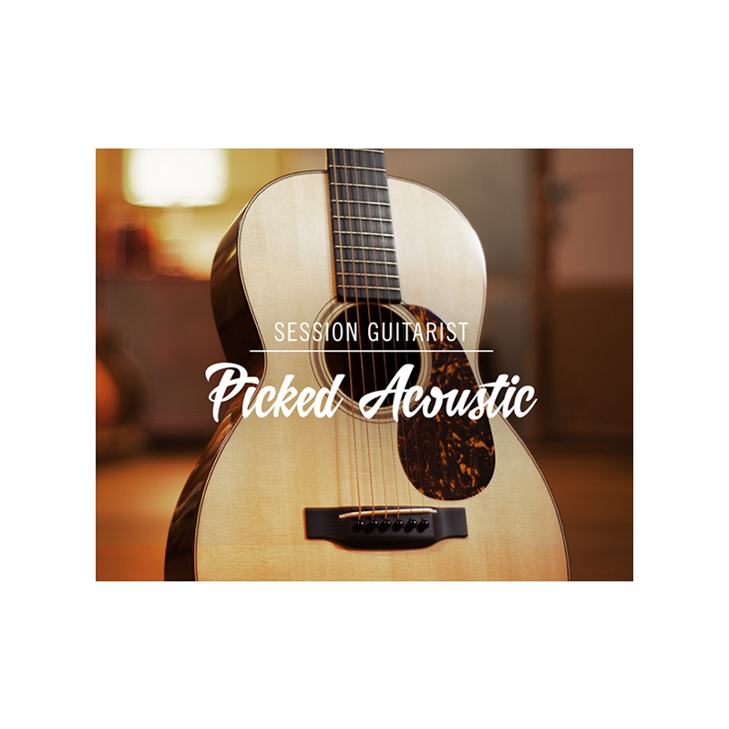 Native Instruments / Session Guitarist – Picked Acoustic