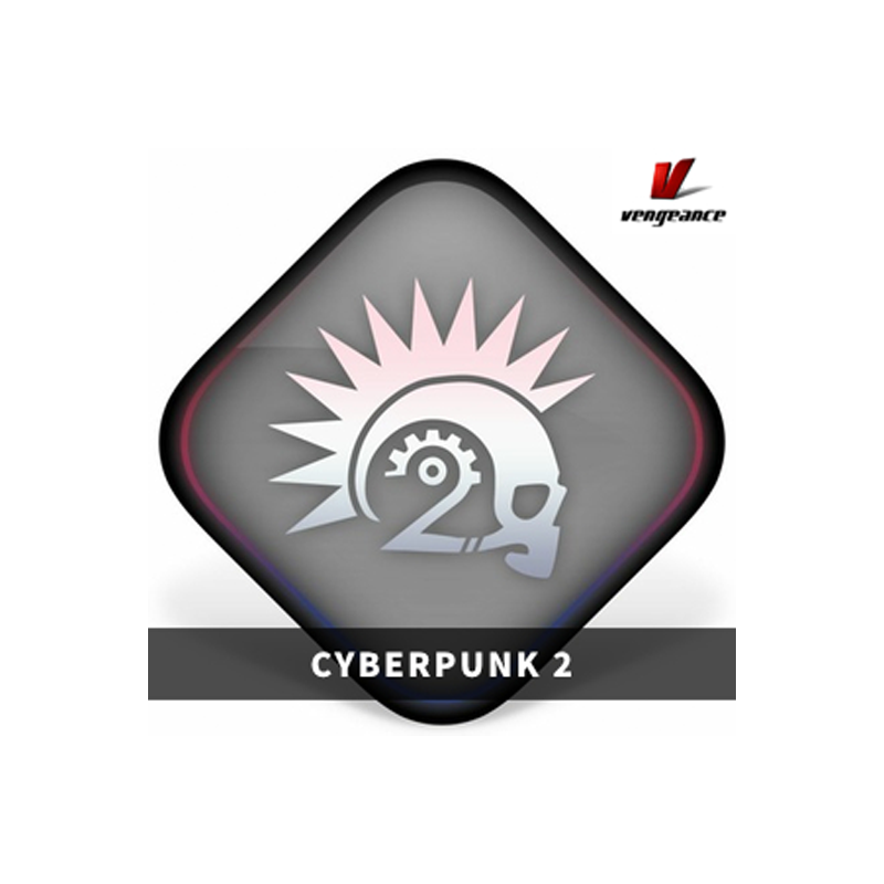 VENGEANCE SOUND / CYBERPUNK 2【★サイバーパンク特有のダークでハイテクな雰囲気を彷彿とさせるAVENGER用拡張パック！★】