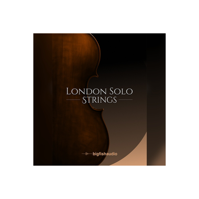 BIG FISH AUDIO / London Solo Strings【★端正でインテリジェントな音色を持つオーケストラ弦楽器を収録したソロストリングス音源！★】